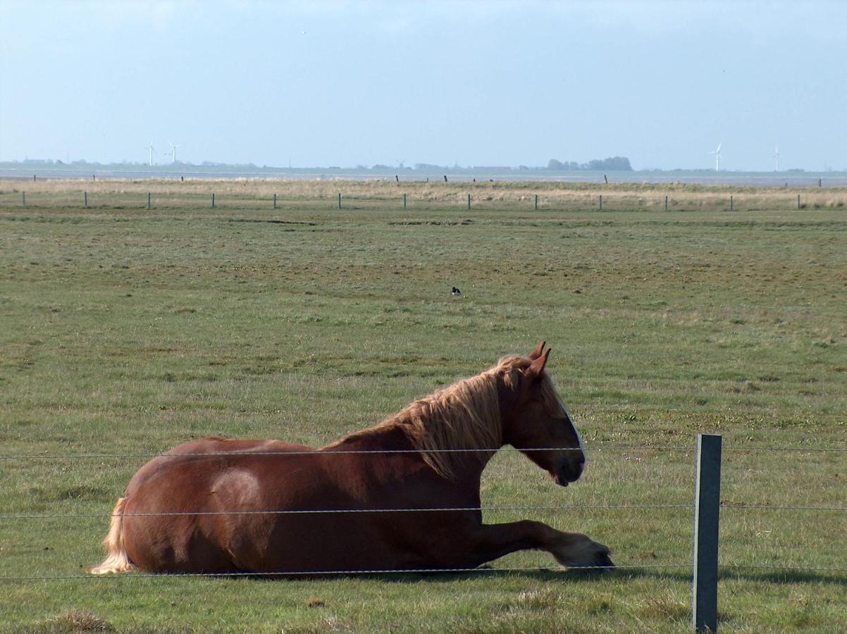 Seevilla Wietjes Whg 3 Baltrum Exterior foto